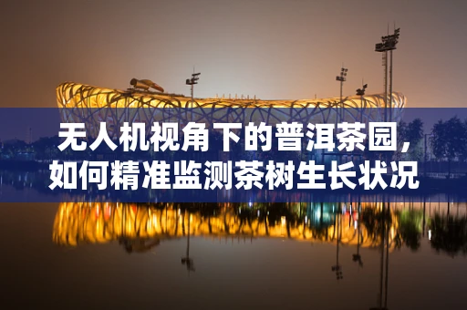 无人机视角下的普洱茶园，如何精准监测茶树生长状况？