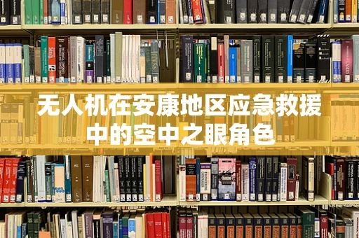 无人机在安康地区应急救援中的空中之眼角色