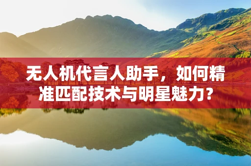 无人机代言人助手，如何精准匹配技术与明星魅力？