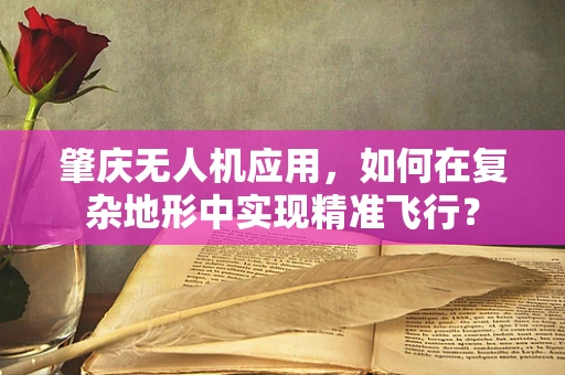 肇庆无人机应用，如何在复杂地形中实现精准飞行？