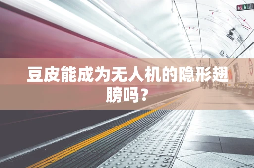 豆皮能成为无人机的隐形翅膀吗？