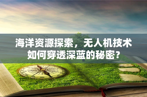 海洋资源探索，无人机技术如何穿透深蓝的秘密？