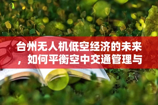 台州无人机低空经济的未来，如何平衡空中交通管理与创新发展？