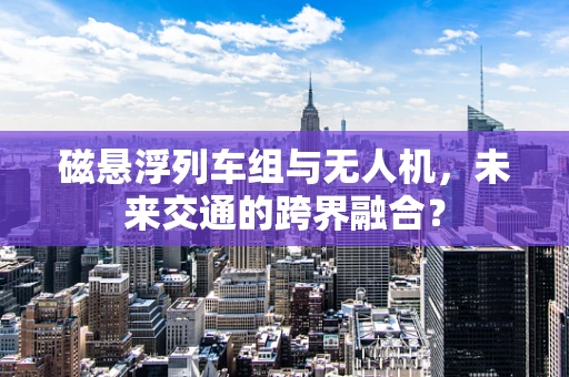 磁悬浮列车组与无人机，未来交通的跨界融合？