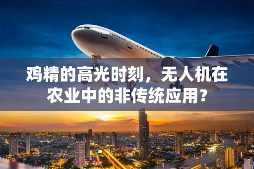 鸡精的高光时刻，无人机在农业中的非传统应用？