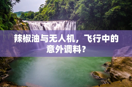 辣椒油与无人机，飞行中的意外调料？