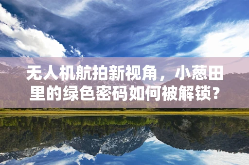 无人机航拍新视角，小葱田里的绿色密码如何被解锁？