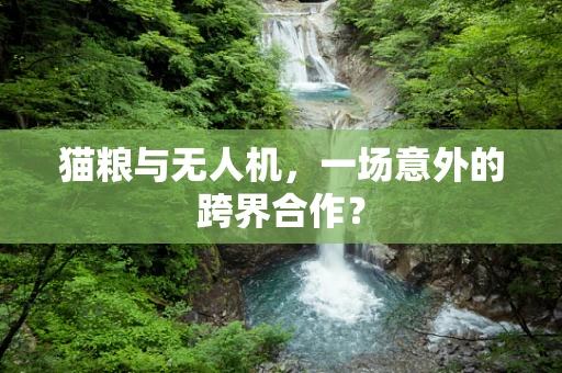 猫粮与无人机，一场意外的跨界合作？