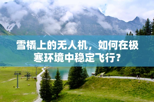 雪橇上的无人机，如何在极寒环境中稳定飞行？