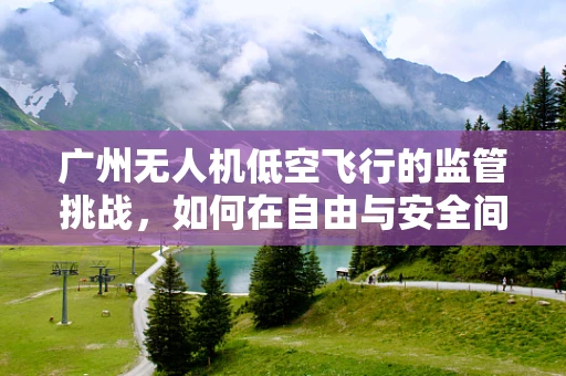 广州无人机低空飞行的监管挑战，如何在自由与安全间找到平衡？
