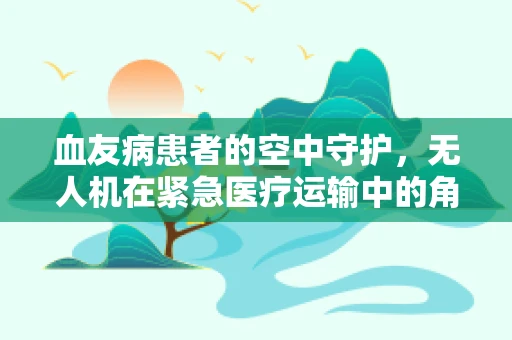 血友病患者的空中守护，无人机在紧急医疗运输中的角色与挑战