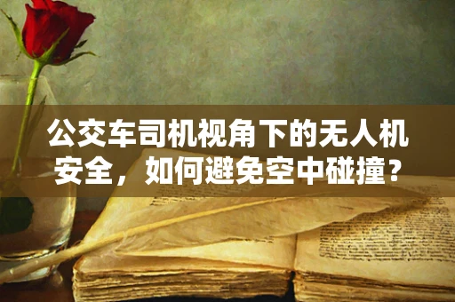公交车司机视角下的无人机安全，如何避免空中碰撞？