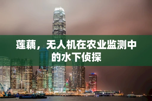 莲藕，无人机在农业监测中的水下侦探