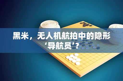 黑米，无人机航拍中的隐形‘导航员’？
