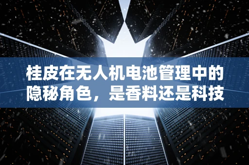 桂皮在无人机电池管理中的隐秘角色，是香料还是科技？