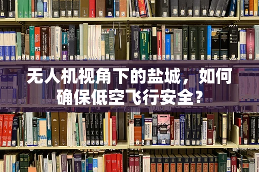 无人机视角下的盐城，如何确保低空飞行安全？