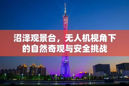 沼泽观景台，无人机视角下的自然奇观与安全挑战