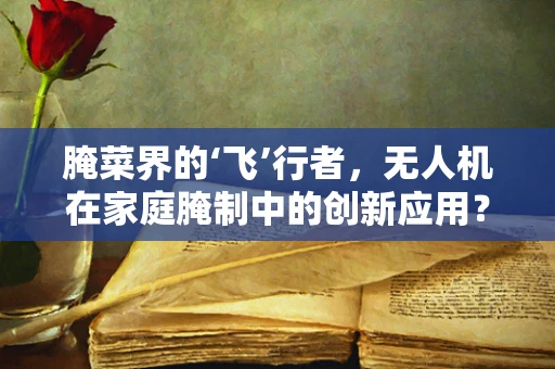 腌菜界的‘飞’行者，无人机在家庭腌制中的创新应用？