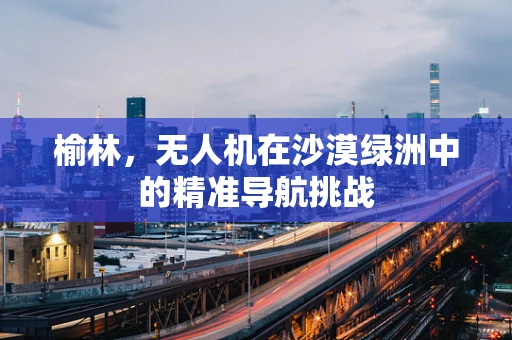 榆林，无人机在沙漠绿洲中的精准导航挑战