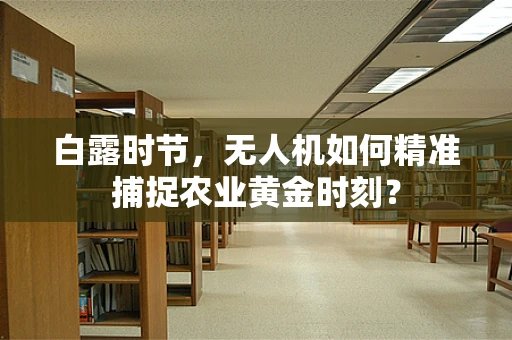 白露时节，无人机如何精准捕捉农业黄金时刻？