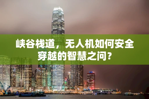 峡谷栈道，无人机如何安全穿越的智慧之问？