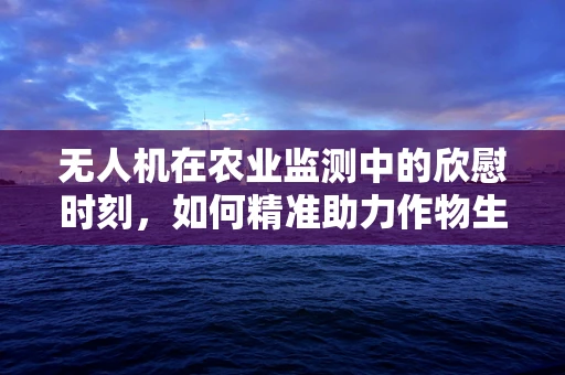 无人机在农业监测中的欣慰时刻，如何精准助力作物生长？