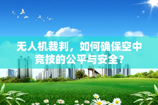 无人机裁判，如何确保空中竞技的公平与安全？