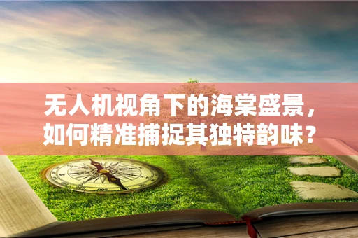 无人机视角下的海棠盛景，如何精准捕捉其独特韵味？