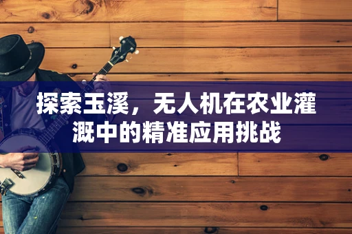 探索玉溪，无人机在农业灌溉中的精准应用挑战