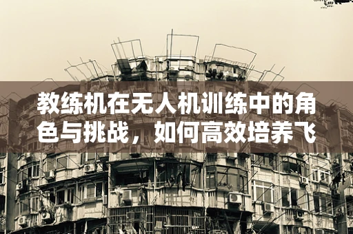 教练机在无人机训练中的角色与挑战，如何高效培养飞行员？