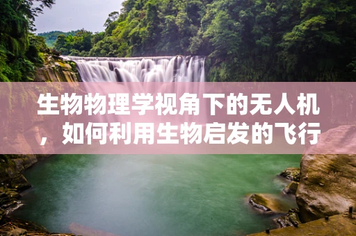 生物物理学视角下的无人机，如何利用生物启发的飞行机制提升无人机性能？
