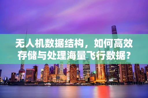 无人机数据结构，如何高效存储与处理海量飞行数据？