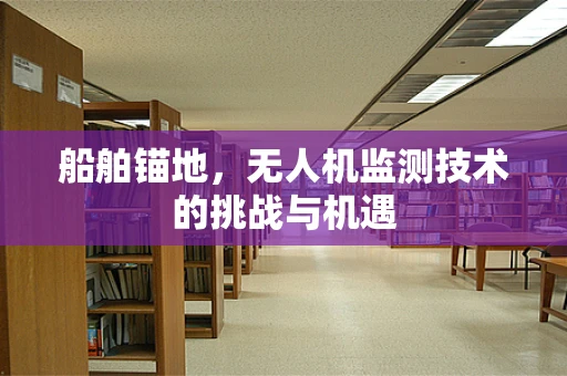 船舶锚地，无人机监测技术的挑战与机遇