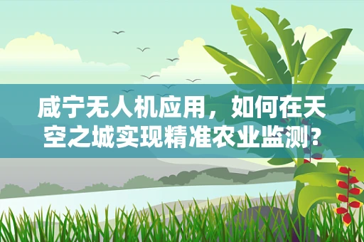 咸宁无人机应用，如何在天空之城实现精准农业监测？