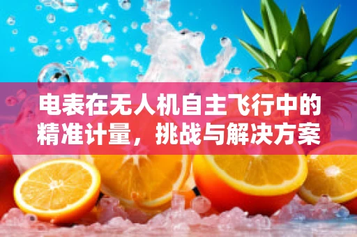 电表在无人机自主飞行中的精准计量，挑战与解决方案