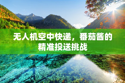 无人机空中快递，番茄酱的精准投送挑战