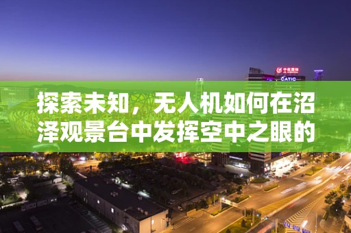 探索未知，无人机如何在沼泽观景台中发挥空中之眼的作用？
