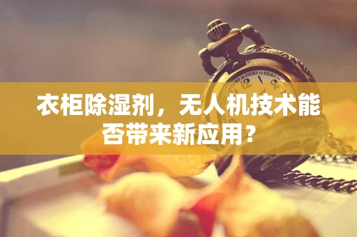 衣柜除湿剂，无人机技术能否带来新应用？