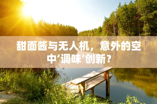 甜面酱与无人机，意外的空中‘调味’创新？