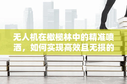 无人机在橄榄林中的精准喷洒，如何实现高效且无损的作物保护？