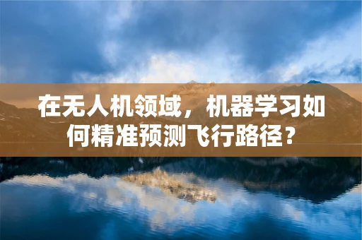 在无人机领域，机器学习如何精准预测飞行路径？