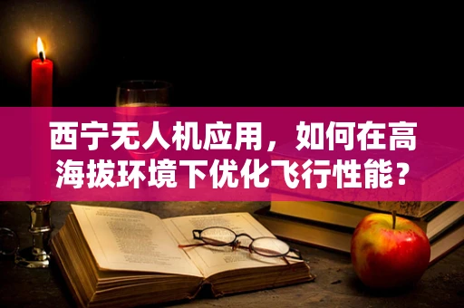 西宁无人机应用，如何在高海拔环境下优化飞行性能？