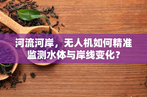 河流河岸，无人机如何精准监测水体与岸线变化？