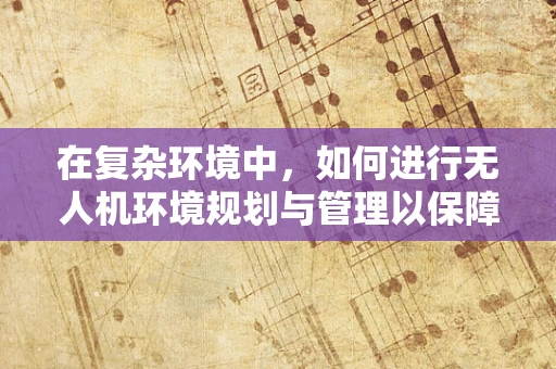 在复杂环境中，如何进行无人机环境规划与管理以保障飞行安全？