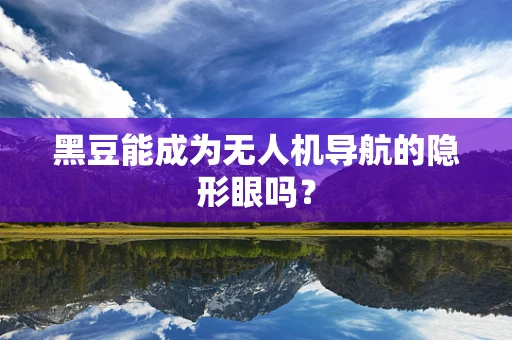 黑豆能成为无人机导航的隐形眼吗？