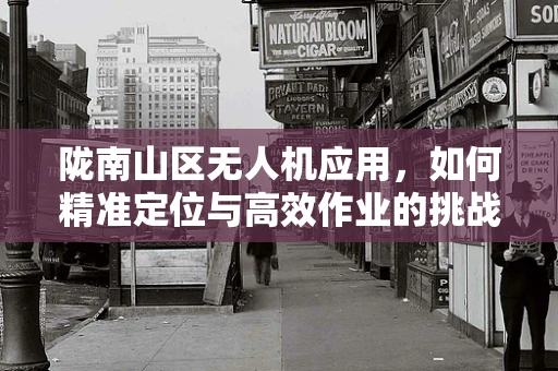 陇南山区无人机应用，如何精准定位与高效作业的挑战？
