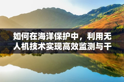如何在海洋保护中，利用无人机技术实现高效监测与干预？