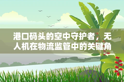 港口码头的空中守护者，无人机在物流监管中的关键角色？
