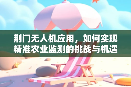 荆门无人机应用，如何实现精准农业监测的挑战与机遇？