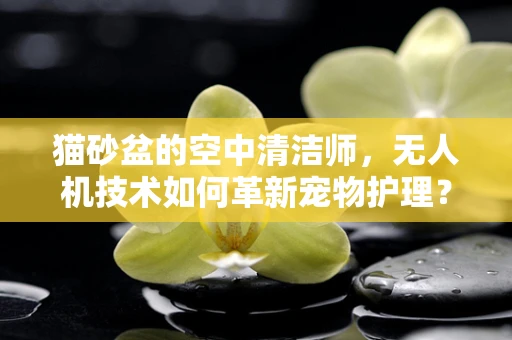 猫砂盆的空中清洁师，无人机技术如何革新宠物护理？